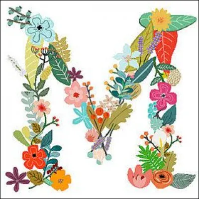 J'M le mara de Patagonie ! Qu'est-ce ?