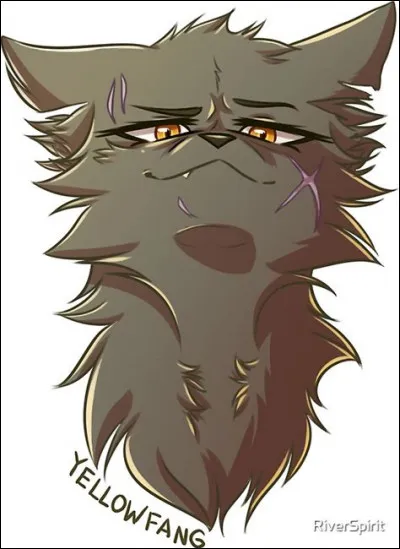 Croc Jaune a trahi le code du guérisseur en ayant des petits avec son chef. Comment se nomme ce chef ?