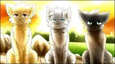 De quels clans viennent il de Geai, Feuille de Houx et Pelage de Lion ?