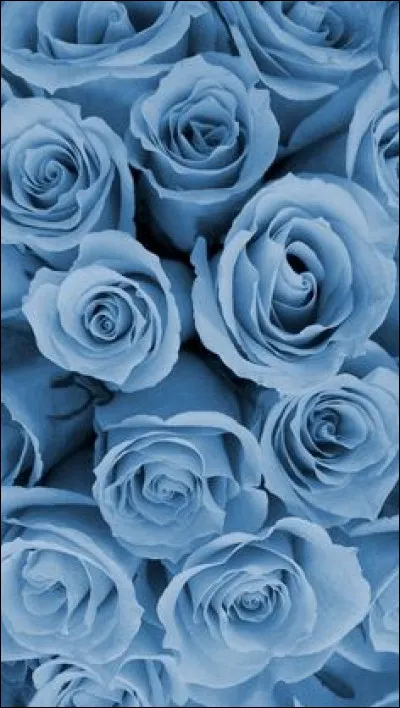 Un garçon te déclare ses sentiments et tu ne l'aimes pas, tu lui réponds...