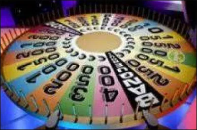 Entre 2006 et 2012 sur TF1, qui présente en compagnie de Victoria Silvstedt le jeu "La Roue de la fortune" ?