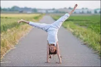 Complétez cette expression connue : "Partir en roue...