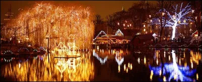 Mais si vous êtes avec les Danois, vous apprécierez leur seul dessert, d'apparence très ordinaire, pour ce grand jour.