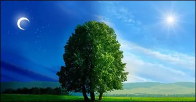 Vis-tu le jour ou la nuit ?