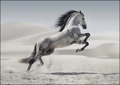 Ton prof te met un cheval très difficile.