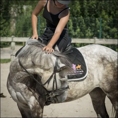 Après ton cours, tu...