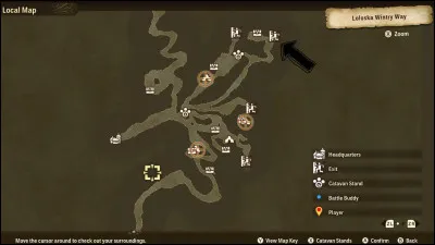 Quelle est la zone indiquée par la flèche ?