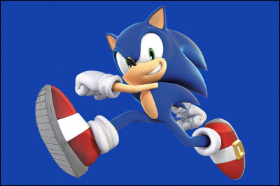En quelle année est sorti le premier "Sonic" ?
