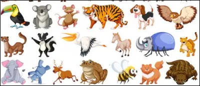 Quel animal préfères-tu ?