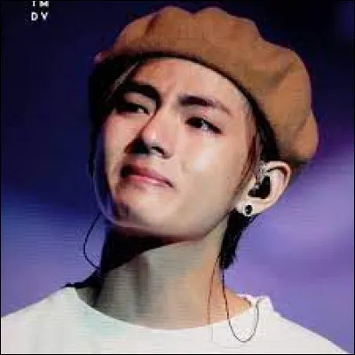 Quand les BTS ont-ils prévu, normalement, d'arrêter leur carrière au sein du groupe ?