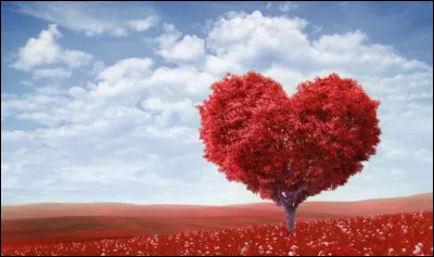 Comment dit-on "amour" en turc ?