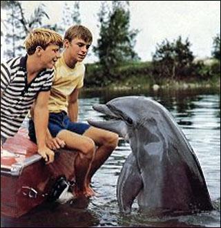 Porter Ricks est responsable du parc national de Coral Key en Floride, o il vit avec ses deux fils, Sandy et Bud. Ils ont apprivois un dauphin, quelle est cette srie ?