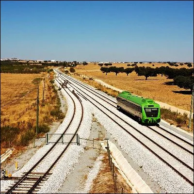 Quel embranchement animal regroupe le plus d�esp&egrave;ces connues dans le monde ?