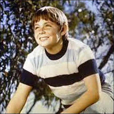 Dans quelle s&eacute;rie le jeune Sonny Hammond d&eacute;fend-il la nature aux c&ocirc;t&eacute;s d�un animal ?