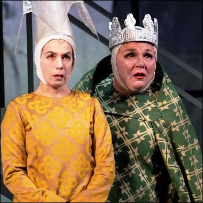 Quel habitat animal, dont la version la plus connue est en d&ocirc;me, peut abriter plusieurs reines ?