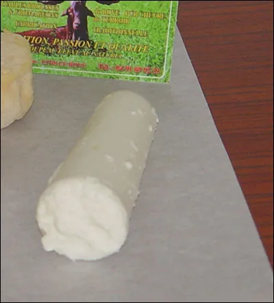 Quelle femme fut lauréate du concours Lépine, en 1912, avec un appareil à laver la vaisselle ?