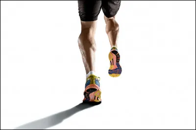 Dans quelle course à pied, y a-t-il obligatoirement une "rivière" ?