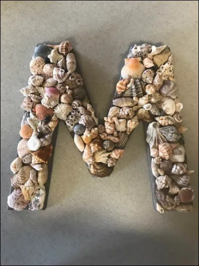 J'M les mollusques ! Du genre Aplysia, quel est le nom de ce mollusque gastéropode à corps nu, qui vit dans toutes les mers du globe ?