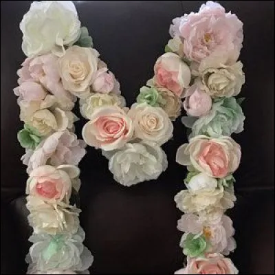 J'M Marseille ! Quelle proposition n'est pas un quartier de Marseille ?