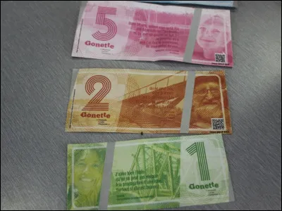 Lyon depuis 2015 s'est dotée d'une monnaie locale qui s'appelle la Gonette.