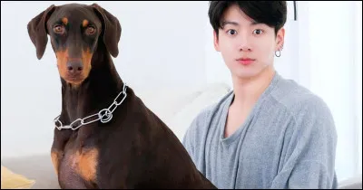 Comment s'appelle le chien de Jungkook ?
