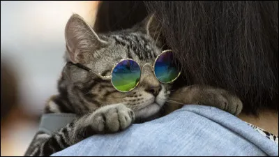 Qu'est-ce que c'est ?