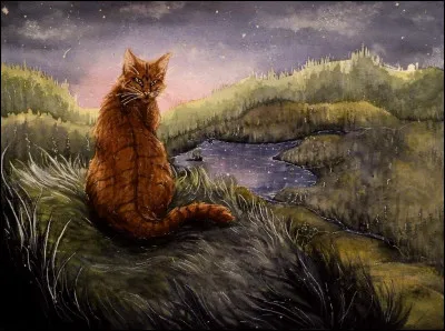 Le Clan du Vent se joignit aux trois autres pour former le Clan du Lion, une fois Étoile du Tigre mort, pour chasser le Clan du Sang de la forêt. Heureusement, la bataille fut remportée, et les Clans purent pendant quelques lunes mener une existence paisible. Mais les bipèdes commencèrent à détruire la forêt, et la quête des élus débuta. Qui était l'élu choisi au sein du Clan du Vent ?