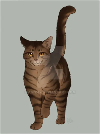 Moustache accepta malgré tout le choix de son défunt chef, à qui il vouait un grand respect, mais il fit face à un rempart d'incrédulité, venant en particulier de Griffe de Pierre. Le fait qu'Étoile de Feu et Griffe de Ronce eurent été présents au cours des derniers instants d'Étoile Filante n'arrangea rien, mais Moustache, encore mal assuré, choisit un nouveau lieutenant. Qui désigna-t-il ?