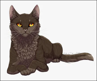 C'est alors que le Clan des Étoiles fit s'abattre la foudre sur un arbre qui chuta sur Griffe de Pierre, ce qui le tua sur le coup. Le signe était très clair : Moustache était bien le véritable meneur du Clan du Vent. La Source de Lune ayant été découverte, il s'y rendit, et reçut ses neuf vies ainsi que son nom de chef : Étoile Solitaire ! Pour quelle raison avait-il reçu ce nom ?