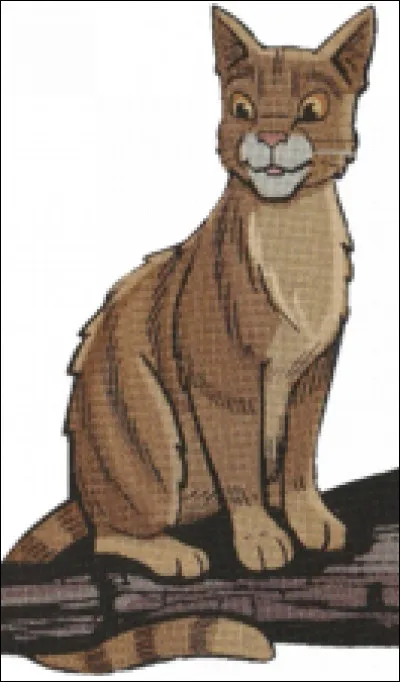 Cependant, Étoile Solitaire souhaitait faire du Clan du Vent une tribu forte et respectée, mais les autres Clans les considéraient encore comme faibles. Et Étoile de Feu, qui désirait aider son vieil ami, entravait les choses. Étoile Solitaire décida alors de tourner le dos à l'amitié qui les unissait pourtant depuis si longtemps. Mais il les aida à une occasion. Laquelle ?