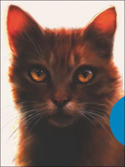 Étoile de Feu persista malgré tout à souhaiter aider le Clan du Vent. Alors un jour, Étoile Solitaire mena son Clan au combat contre le Clan du Tonnerre, et il fut rejoint par le Clan de la Rivière. Bientôt, le Clan de l'Ombre vint en aide aux chats du Tonnerre, et toutes les tribus se battirent sur le même territoire. Mais un événement mit fin aux affrontements. Lequel ?