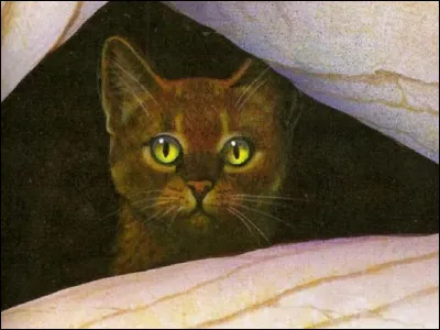 Les saisons passèrent, et la Forêt Sombre commença à se soulever. Étoile Solitaire écouta avec incrédulité les recommandations de ses ancêtres lui disant de ne plus se soucier que de son propre Clan. Puis lorsque la bataille finale se déclencha, le vieux meneur perdit plusieurs membres de son Clan. Lequel des chats suivants n'en faisait pas partie ?