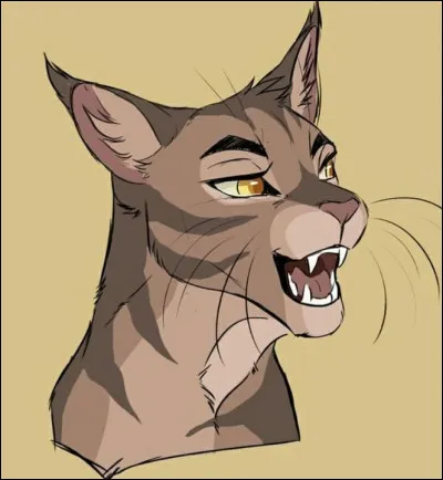 Le Clan du Vent mit du temps à se remettre des blessures causées par la Forêt Sombre, mais Étoile Solitaire continua de le diriger avec courage. Mais le Clan des Étoiles leur envoya alors une nouvelle prophétie : « Accueillez ce qui dans l'Ombre est caché et ainsi le Ciel pourra s'éclaircir ». Quel esprit du Clan des Étoiles la révéla aux Clans ?