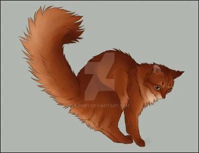 Nuage d'Aulne mena alors une quête qui le guida vers la gorge où vivait le Clan du Ciel, désormais habitée par des chats errants, dont le chef était un certain Plume Sombre. Le jeune chat revint sans plus de réponses qu'à son départ, mais accompagné par deux chattes, Petite Violette et Petite Brindille. Pour quelle raison les avait-il ramenées ?