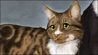 Malgré les protestations d'Étoile Solitaire et d'Étoile de Brume, le Clan du Tonnerre et le Clan de l'Ombre prirent chacun une des deux surs. Mais ceux qui avaient chassé le Clan du Ciel rejoignirent le lac, et attaquèrent une patrouille du Clan du Vent ! Étoile Solitaire perdit une vie durant l'attaque, et un membre du clan fut tué. De qui s'agissait-il ?