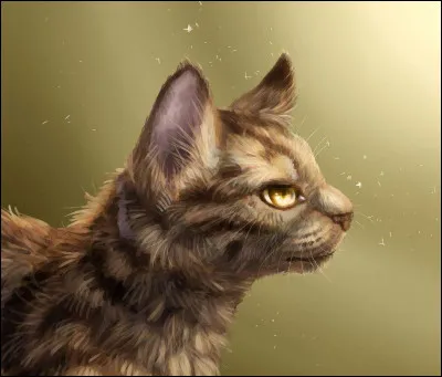 Mais durant le combat, Étoile Solitaire se trouva face à Plume Sombre, et ce dernier lui murmura des mots qui firent comprendre au meneur qu'il avait en face de lui le chaton de Fumée, son propre fils, et que son ancienne compagne avait tenu parole : elle l'avait élevée pour qu'il haïsse son père et le mode de vie des Clans. Quelle fut la phrase prononcée par Plume Sombre ?