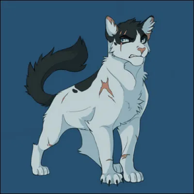 Étoile Solitaire se décida alors enfin à tout avouer aux Clans qui étaient désormais cinq. Les Clans furent stupéfaits par ses aveux, mais désormais, le meneur n'avait plus peur. Il décida de se joindre aux autres Clans pour chasser Plume Sombre une fois pour toutes. Les Clans utilisèrent leurs talents respectifs pour vaincre. Quelle fut la stratégie du Clan du Vent ?