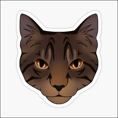 Et quel était son nom de chaton ?