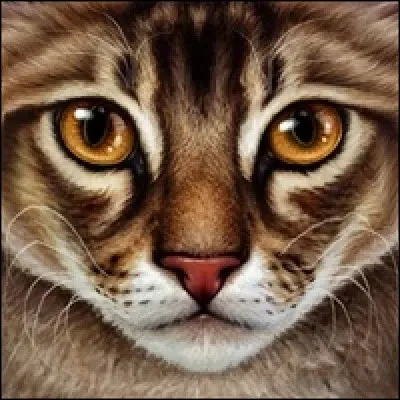 Qui étaient ses frères et surs ?