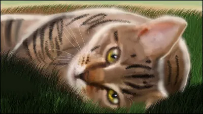 Moustache lui raconta moultes anecdotes sur sa vie de guerrier et l'enjoliva pour se donner l'image d'un héros. Rapidement, Fumée et lui tombèrent amoureux, et il revint aussi souvent que ses tâches de guerrier le lui permettaient. Mais un jour, Fumée lui apprit qu'elle attendait des petits, et souhaita rejoindre le Clan du Vent pour vivre avec lui. Mais Moustache refusa. Pour quelle raison ?