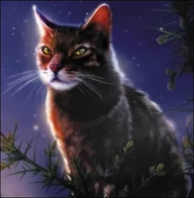 Ainsi, Fumée retourna chez les bipèdes, et ne revint qu'une fois. Un minuscule chaton l'accompagnait. Elle annonça alors au guerrier qu'elle avait mis bas avant d'être rentrée chez elle, et que le petit se trouvant à ses côtés était le seul à avoir survécu. Elle demanda alors à Moustache de le prendre avec lui au sein du Clan du Vent, mais il refusa. Quelle fut alors la réaction de la chatte ?