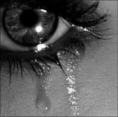 As-tu beaucoup d’amis ?