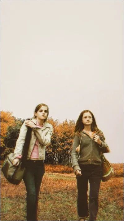 Enfin, qui préfères-tu entre Ginevra Molly Weasley et Hermione Granger ?
