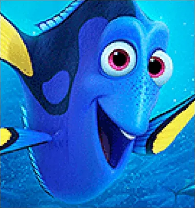 Dans quel film peut-on voir Dory ?