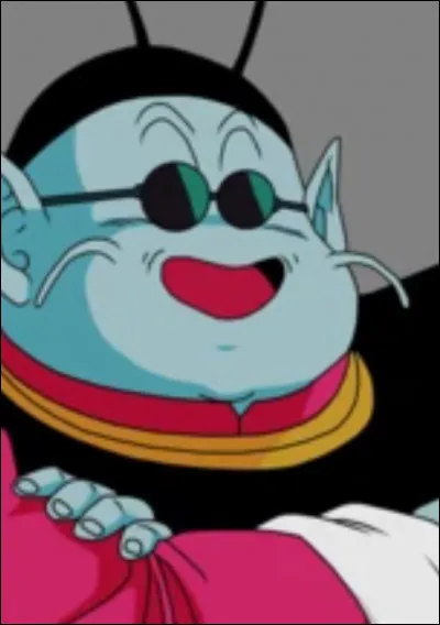 Dans quel animé peut-on trouver Maître Kaïo ?