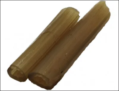 Quelle ville est associ&eacute;e &agrave; l'ang&eacute;lique ?