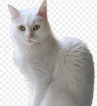 Et celui-ci, te plaît-il ?