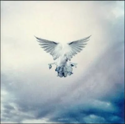 Complétez : 
"Doch dann hast du mir deinen..."