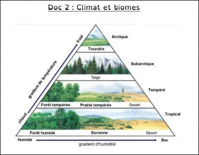 Quelle est (ou était) ta matière préférée au collège ou à l'école ?