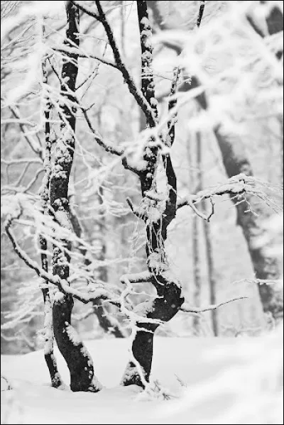 À quel chanteur doit-on le titre "Les matins d'hiver" ?